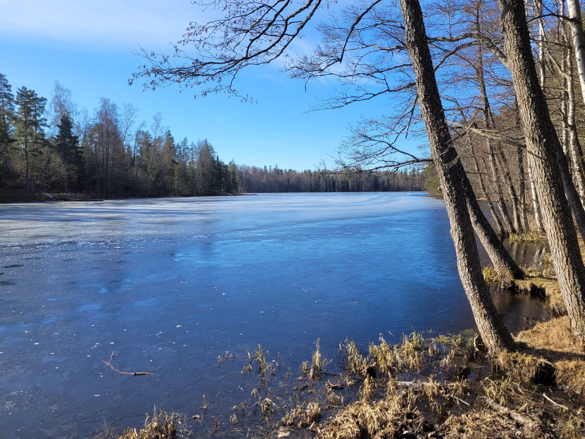 Gallträsk, min favorit bland Finlands tusen sjöar.
