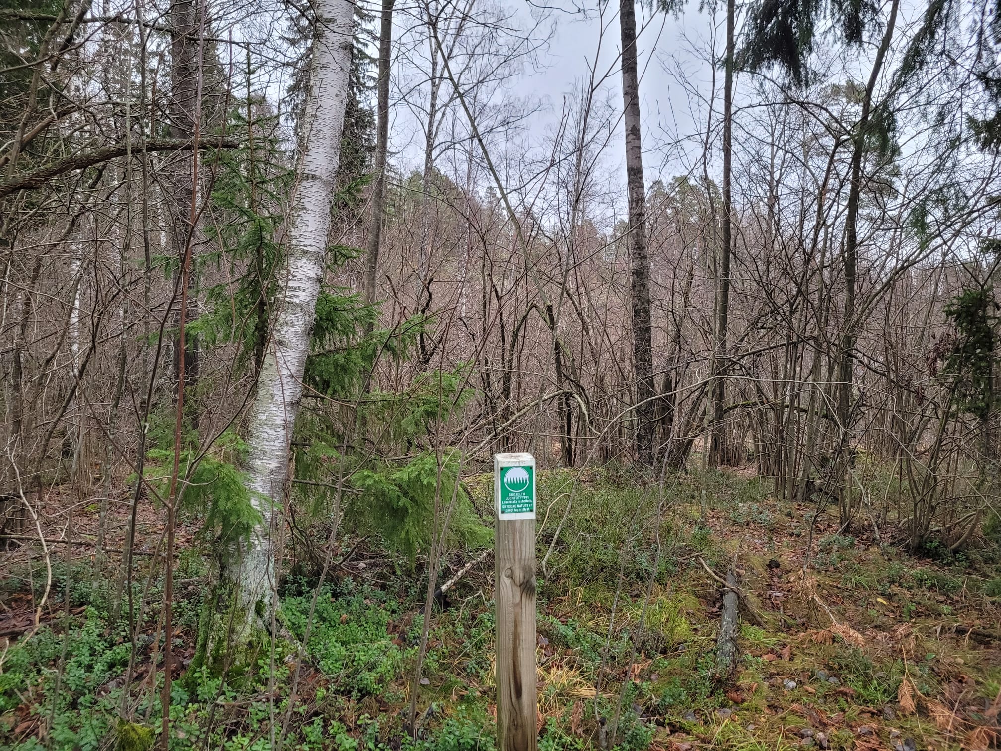 Ei kovin kummoisen näköinen paikka joulukuussa