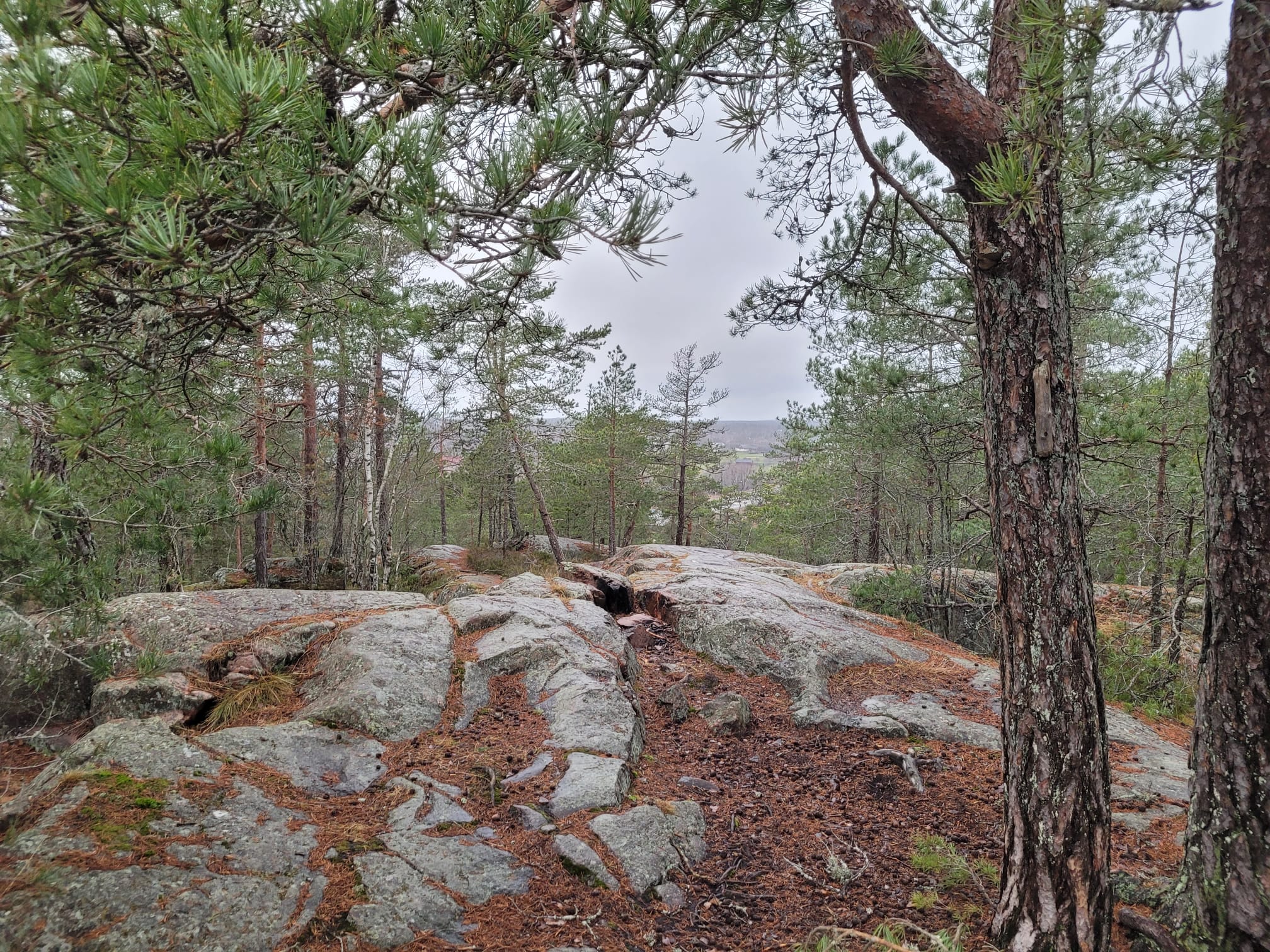 Näkymä Kasavuoren huipulta länteen