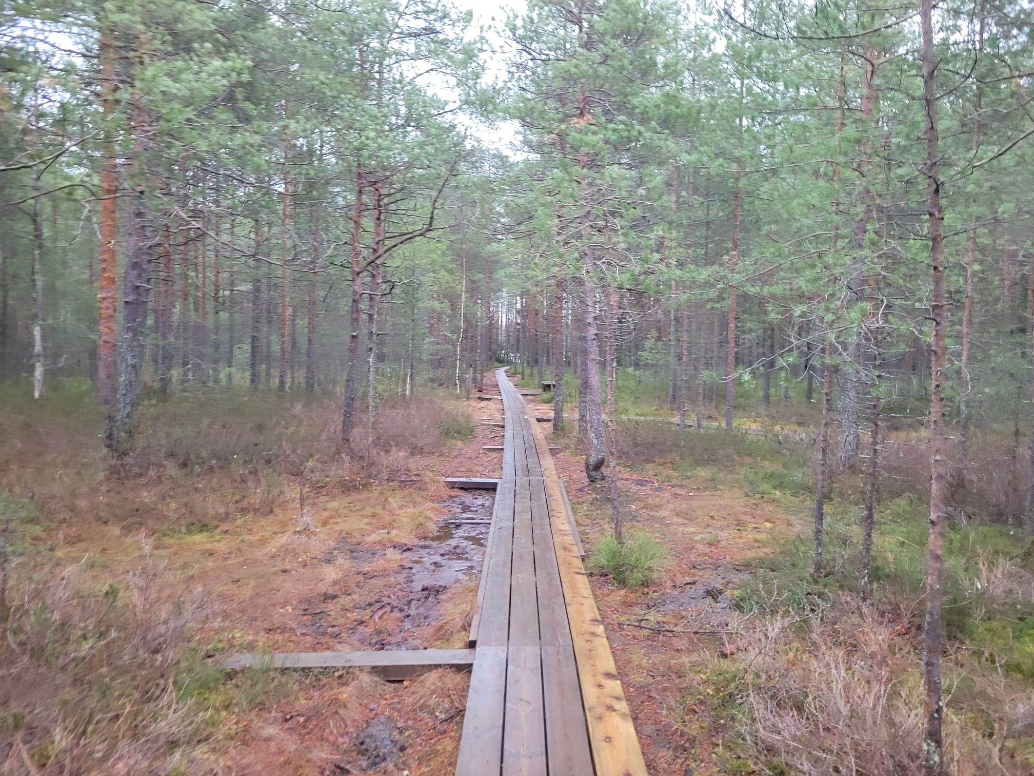 Granin luontoa parhaimmillaan